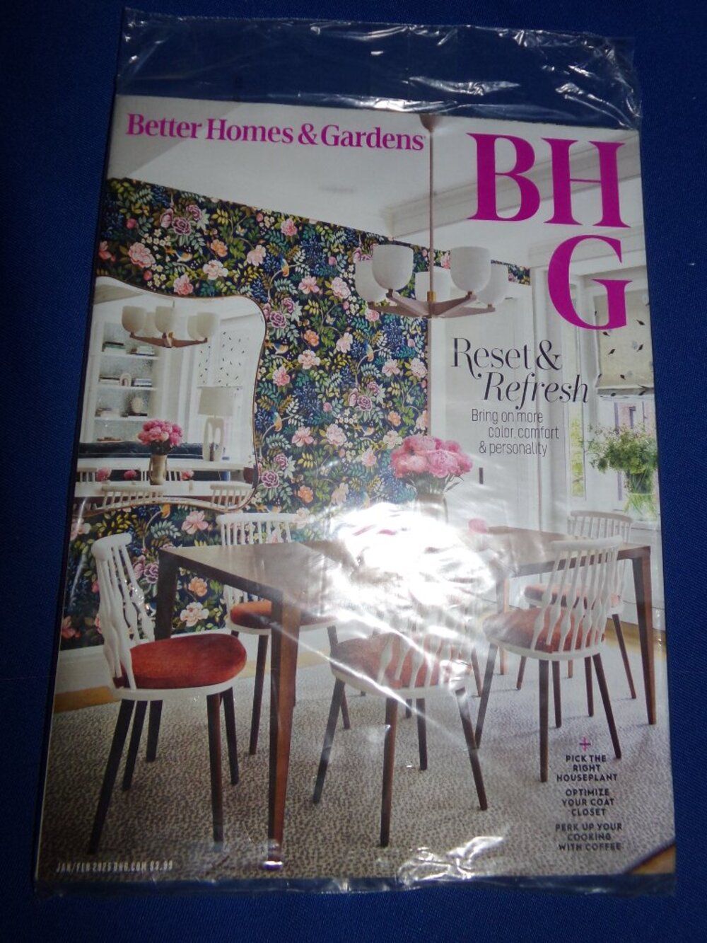 Vintage but New Better Homes & Gardens Magazine - Jan/Feb 2025 - House Plants
